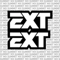 EXT Fork Tube Decal